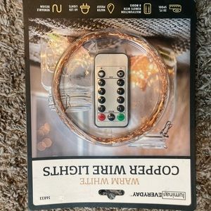 20 foot copper wire lights.